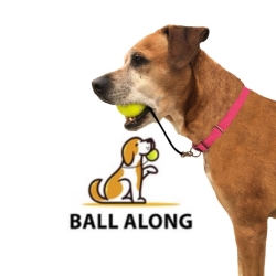 Ballalong Affiliate Program logo | TapRefer Pro The Biggest Directory with commission, cookie, reviews, alternatives