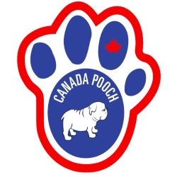Canada Pooch Affiliate Program logo | TapRefer Pro The Biggest Directory with commission, cookie, reviews, alternatives