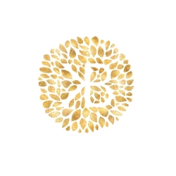 Kindred Bravely Affiliate Program logo | TapRefer Pro The Biggest Directory with commission, cookie, reviews, alternatives