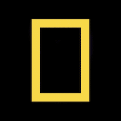 National Geographic Subscription Affiliate Program logo | TapRefer Pro The Biggest Directory with commission, cookie, reviews, alternatives
