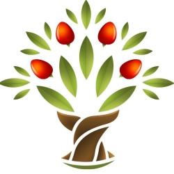 Seminka-chilli Affiliate Program logo | TapRefer Pro The Biggest Directory with commission, cookie, reviews, alternatives