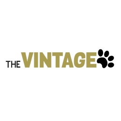 thevintagepaws Affiliate Program logo | TapRefer Pro The Biggest Directory with commission, cookie, reviews, alternatives